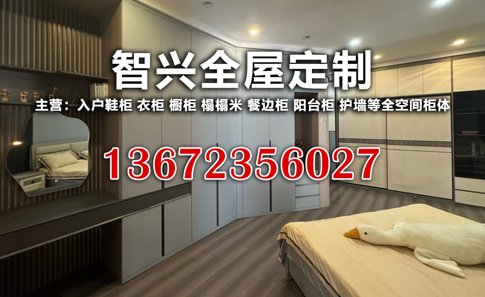 智兴河源线上分站